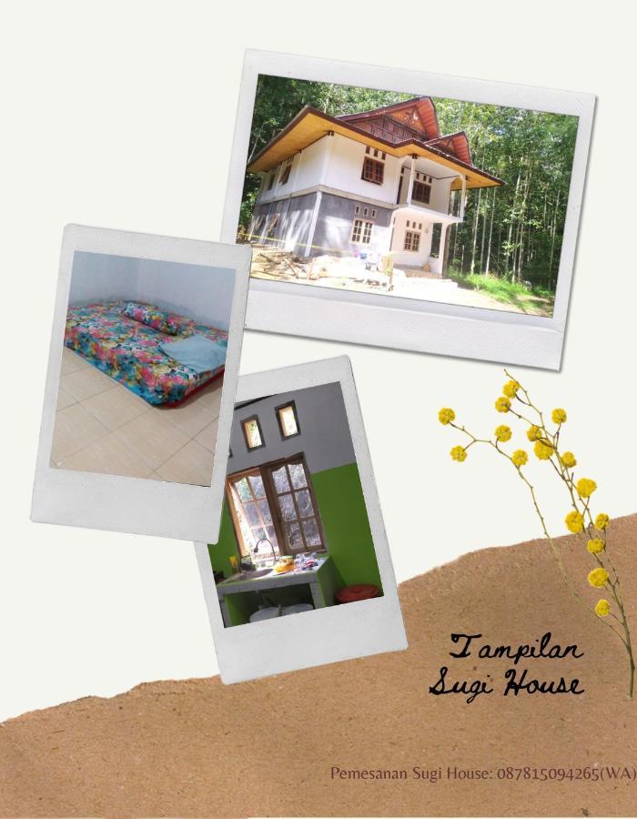 Sugi House Toraja - Villa Penginapan Sewa Harian Rantepao Exteriör bild