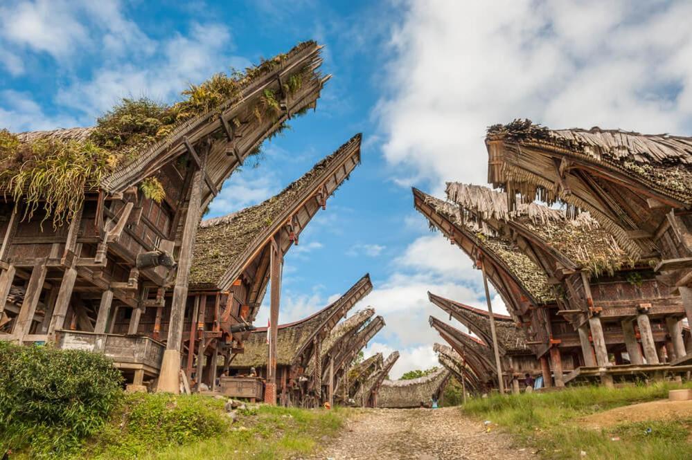 Sugi House Toraja - Villa Penginapan Sewa Harian Rantepao Exteriör bild